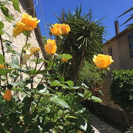 Le Castellamar Hotell Sainte-Maxime