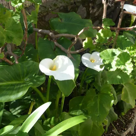 Le Castellamar Hotel 3*