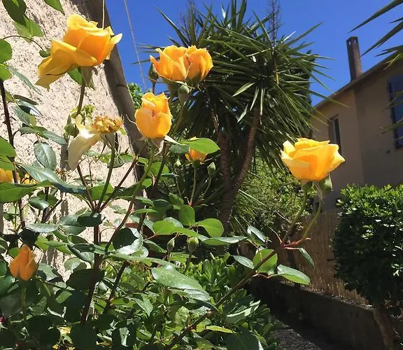 Le Castellamar Otel Sainte-Maxime